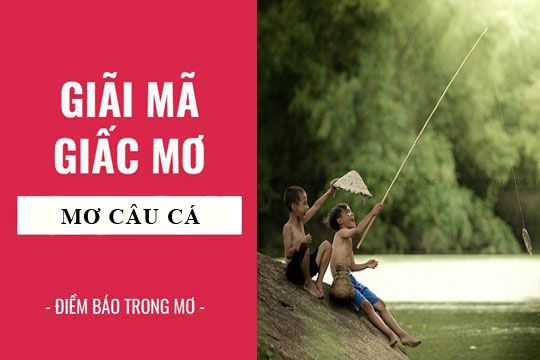 giấc mơ câu cá